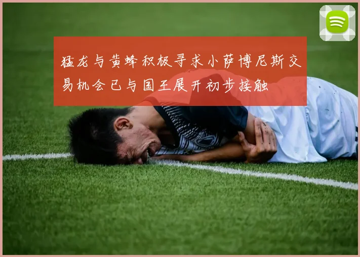 猛龙与黄蜂积极寻求小萨博尼斯交易机会已与国王展开初步接触