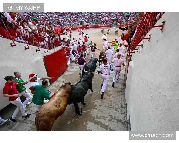 费尔明身价暴涨至6000万蓝军4000万报价遭拒回顾两年前800万的转变